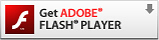 Adobe Flash Player�����������
